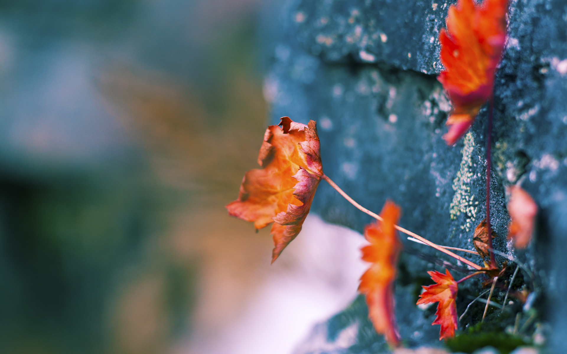 CS2 赛事规则不断完善，csr2boss赛时间