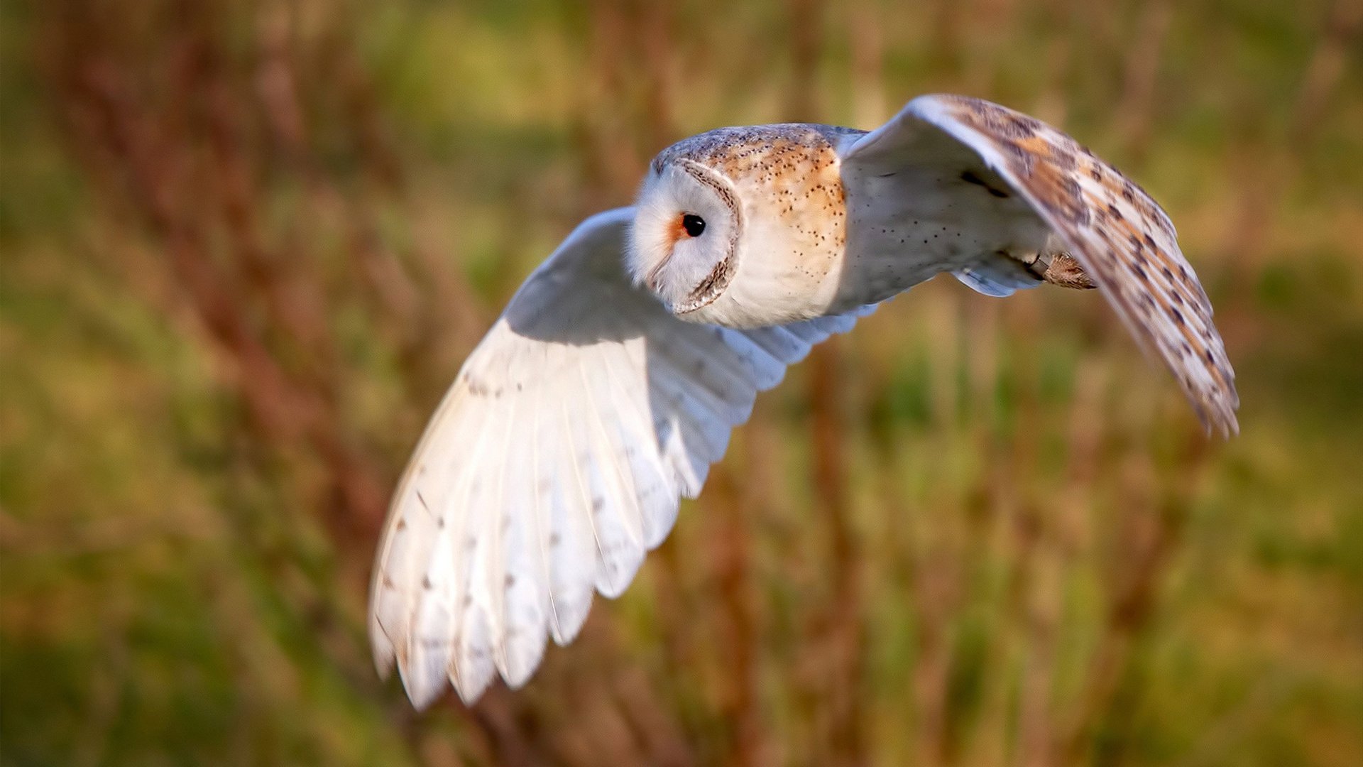 曾经的冠军如今的教练,传帮带推动台球发展