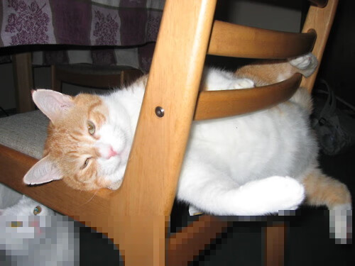 电子竞技的传播学研究:媒体影响与舆论引导,电子竞技传播与解说