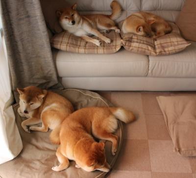 赛场“火药味十足”:欧冠中的激烈对抗,欧冠最精彩比赛