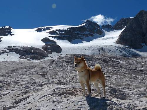 爱游戏 电竞-赛场““钢铁防线”盘点：他们的铁血防守如何碾压对手？，钢铁防线营