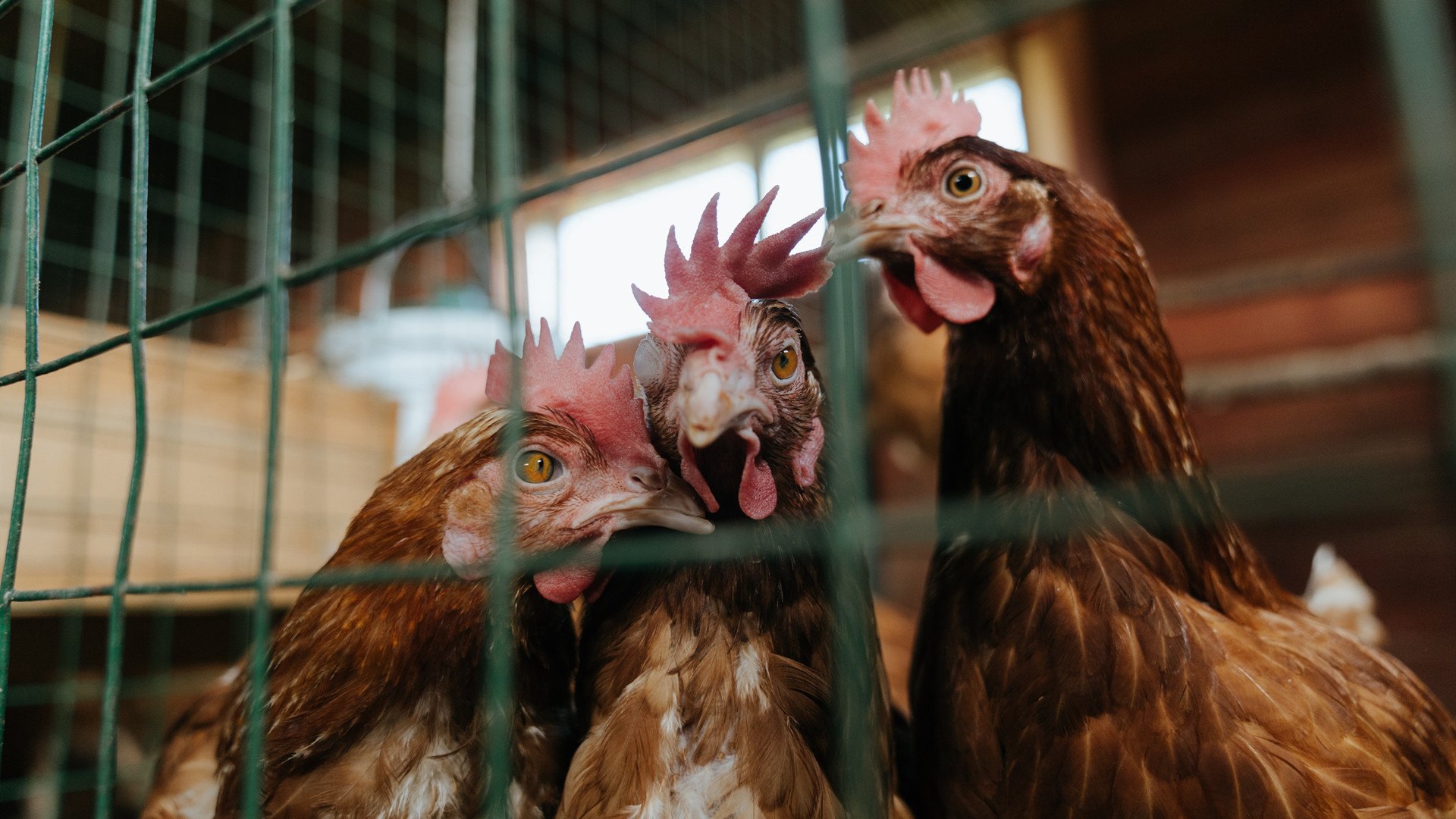 爱游戏登录入口-青少年篮球“青春新势力”系列赛在兰州震撼开战，兰州青少年篮球发展联盟