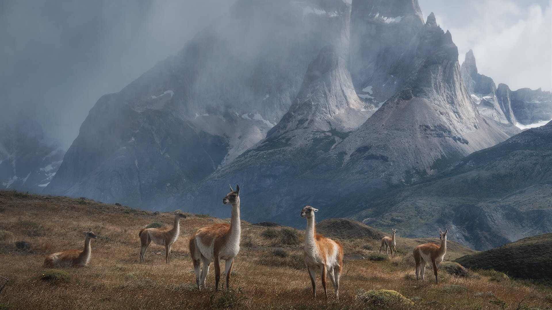 爱游戏下载-世界羽联排名更新，国羽男双重回世界前三，国际羽联世界羽联