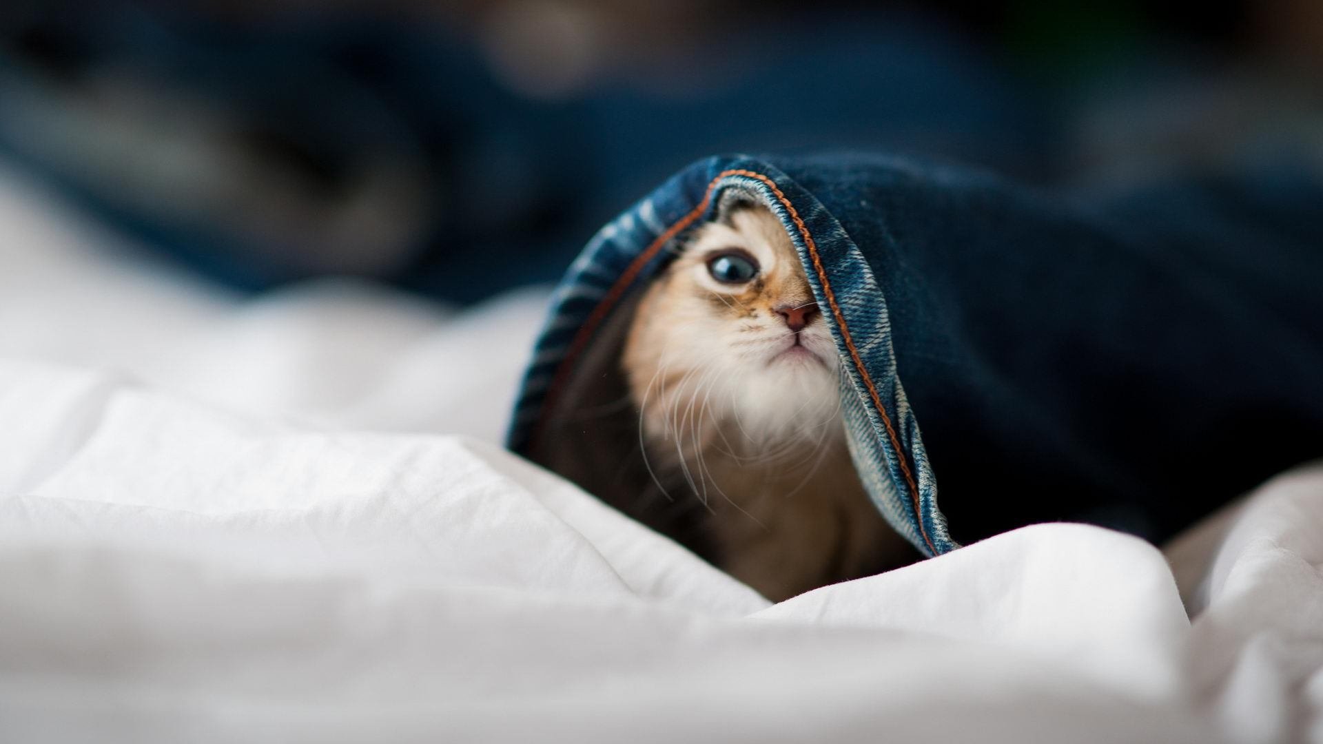 亚洲足坛热议中国人气高涨 球迷狂热加油助威，亚洲足球2021赛程