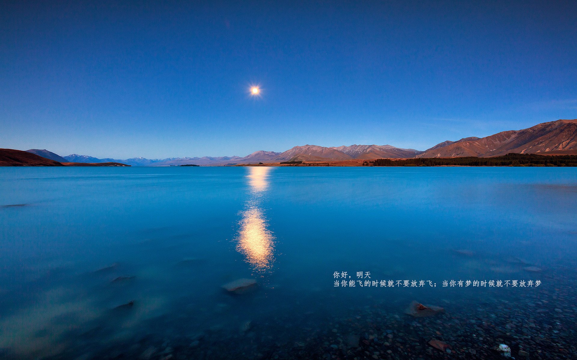 拜仁慕尼黑新赛季引进多位巨星战术调整,拜仁慕尼黑首发阵容2020