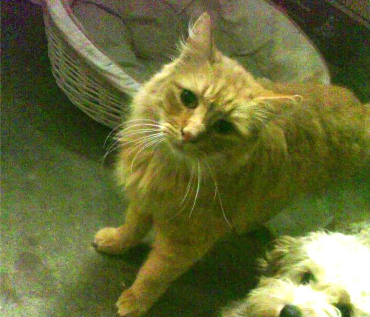 爱游戏平台-是否应推动球员设立地方公益奖学金