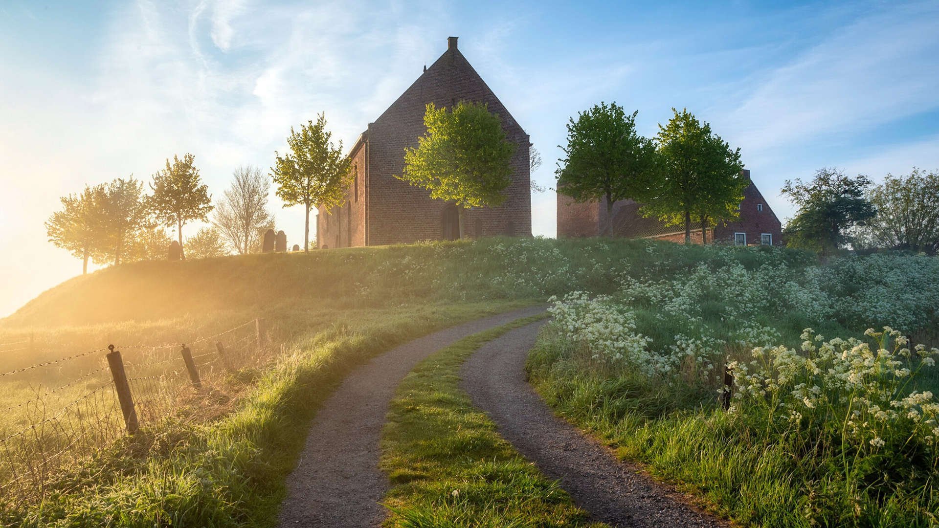 AYX体育-法国队在足球大赛上大放异彩，夺得桂冠，法国队足球冠军