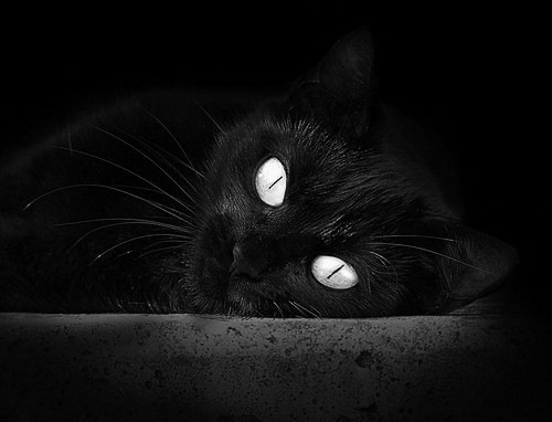 爱游戏 电竞-火箭年轻球员持续进步收获好评，火箭队优秀球员