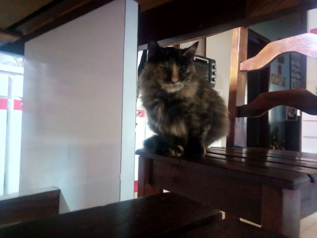 中国足球联盟规则变动影响研究,中国足球职业联赛体系