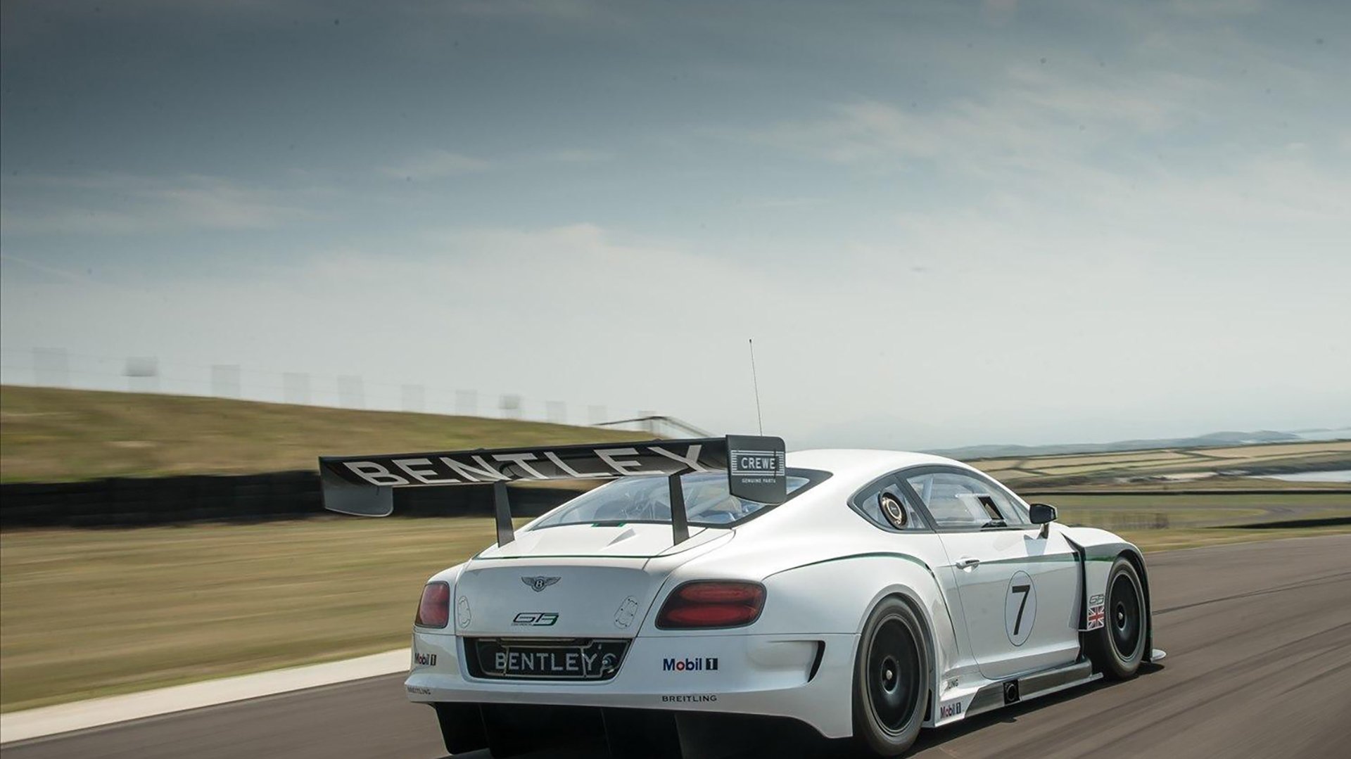 冠军选手出发入水角度数据曝光