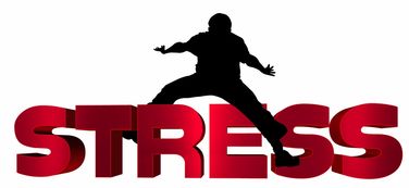 爱游戏体育（AYX）官方APP下载-冠军光环背后的心理压力你了解吗，冠军光环属性